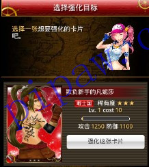 海贼幻想强化
